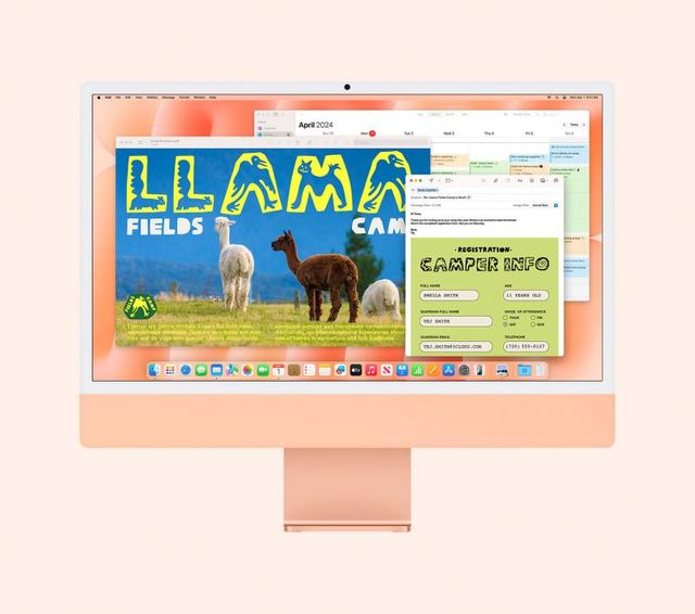 2021 Mac Home Business Lifetime Vision Software Internet Version Online Key Digital Download Immediate Delivery Stock Available