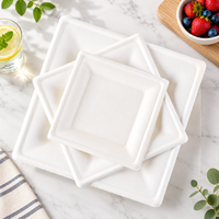 Assiette carrée écologique en bagasse de canne à sucre, 6, 8, 10 pouces, blanche, jetable, biodégradable, en pulpe, pour la restauration et les fêtes