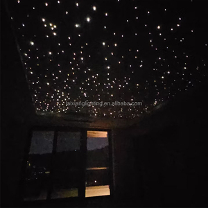 LED-Glasfaser-Sternenlicht Stimmungsbeleuchtung RGB/RGBW Funkelndes Sternenlicht-Glasfaser-Deckenlampe für Hochzeitsdekoration Schlafzimmer - Product Image 5