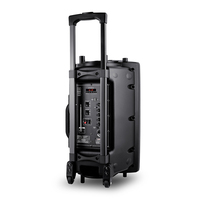 Altavoz Bluetooth CQA de 12 Pulgadas y 300W, el Mejor Altavoz con Ruedas para Fiestas al Aire Libre, Fácil de Transportar
