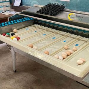 Máquina Procesadora de Huevos de Aves de Corral Industrial JantaFarm, 4500 Huevos por Hora, Equipo de Clasificación Automática de Acero Inoxidable para Uso Agrícola - Product Image 4