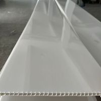 Plafonds légers en plastique, tuiles de toiture en PVC, panneaux de plafond haute brillance pour hall intérieur