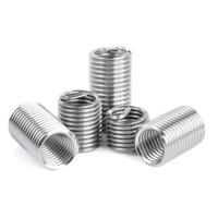 Inserto de Rosca Helicoidal Largo M10 M12 de Acero Inoxidable 304, Alambre de Resorte, Estándar DIN8140, Certificado ISO9001, Alta Resistencia