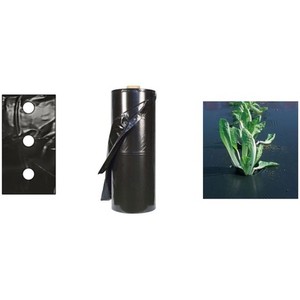 Teli per Pacciamatura 1,2x30m - Senza Fori - Product Image 2