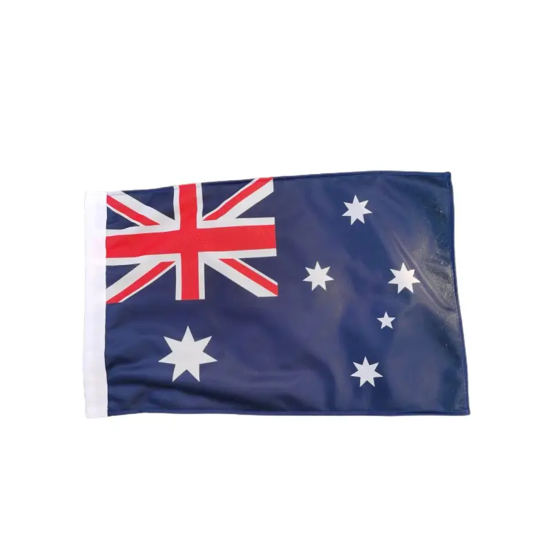 All Country National Hand Flagge Mini Stick Weaving Custom Print Held Hand Flagge