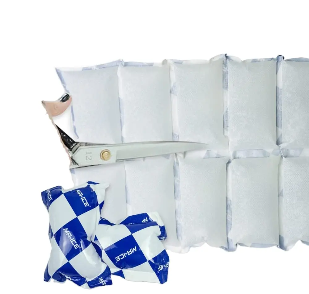 Food Grade Ice Pack Shipping Cold Pack Ice Pack Sheets For Coolers Dry Ice Packs