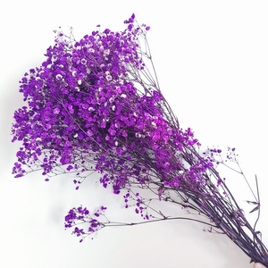 Gypsophila Bouquet Preserved Baby'<span class=keywords><strong>s</strong></span> Breath Flowers Flores secas multicolores Baby <span class=keywords><strong>s</strong></span> Breathe para boda y decoración de fiesta en casa - Product Image 2