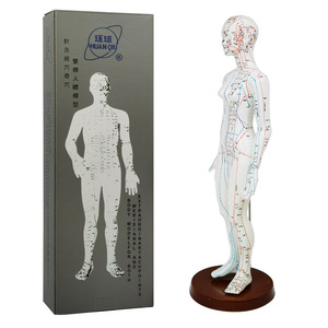 Modelo Global de Meridianos de Acupuntura, Masculino 50cm, Femenino 48cm, Plástico Flexible para Enseñanza y Práctica - Product Image 2