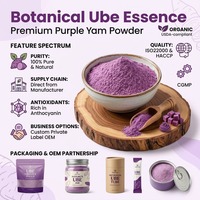 Poudre d'Ube en vrac riche en protéines, poudre d'igname violette UBE pour ingrédient de boisson