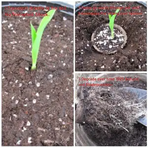 Grosir Cangkir Bubur Kertas Bagasse Mudah Terurai 6 12 Sel Pot Tanaman Pot Pembibitan Bunga Gambut Taman Pot Pot Pot Tanaman Baki Biji