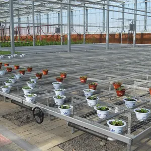 Rouleau roulant agricole pour lit de semence vertical agriculture mobile vertical systèmes de rack de culture maille serre de lit de semence pour la culture
