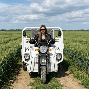 2026 BEIHAI Three Wheeled Supercar Cheap Mini 60V 2000W Scooter 3 Wheel <b>Passenger</b> Tricycles for Adults - Product Image 2