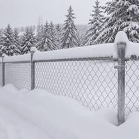 Clôture en treillis métallique avec cadre en fer, revêtement PVC, antirouille, anti-UV, durable, résistante à l'eau, personnalisable pour la sécurité extérieure de la maison