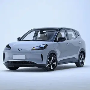2024 mejor vehículo de nueva energía e car Wuling Bingo Plus eléctrico 510km rango versión insignia coche pequeño barato para la venta de China