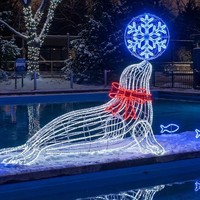Décoration de lanternes personnalisées de grande taille pour parcs d'attractions, pour une utilisation en intérieur/extérieur, spectacle de lumière pour parcs à thème, Noël