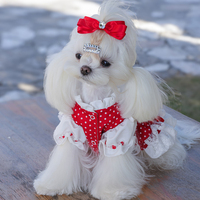 Robe de princesse classique respirante pour chien, en tulle à volants, avec nœud, vêtement mignon pour animal de compagnie, costume élégant pour chiot, en polyester à pois