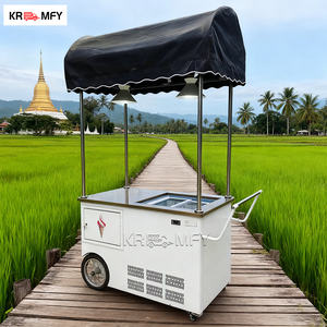 Chariot de Vente Ambulant Réfrigéré pour Crèmes Glacées et Sucettes Glacées, en Métal, Remorquable, pour Extérieur - Product Image 1