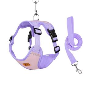 Laisse pour chien de petite et moyenne taille laisse de poitrine pour animaux de compagnie type de laisse perméable à l'air Poitrine et dos pour animaux de compagnie - Product Image 3