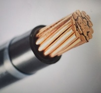 THHN/THWN-2 / 90 ° Cable recubierto de nailon C 600 V