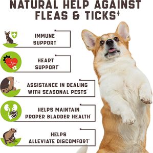 อาหารเสริมป้องกันเห็บหมัดสำหรับสัตว์เลี้ยง ผสมผงกระเทียม ป้องกันเห็บและยุง ผลิตแบบ OEM/ODM สำหรับขนมสุนัขแบบเคี้ยว - Product Image 2