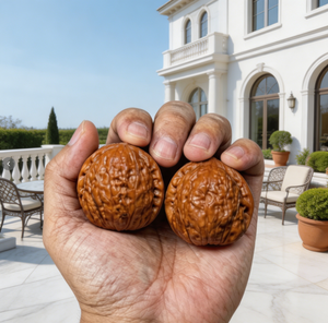 Nueces Wenwan Coleccionables de Árbol Antiguo Natural White Lion, Perfectamente Seleccionadas - Product Image 1
