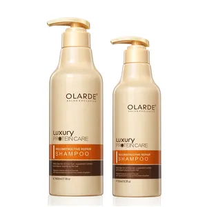 Wholesale Natural Protein Healthy Hair Scalp Repairing Long oily Hair dandruff organic Shampoo for tired damaged ha