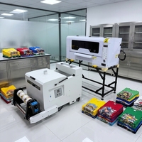 Kit de Impresora DTF A3 de 30 cm Certificado por Allprint con Horno para Impresión de Camisetas en Tela, Listo para Planchar