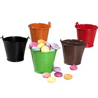 Seau de jardin miniature coloré, boîte à bonbons pour décoration de mariage, pot de fleurs avec poignée, seau en métal pour l'eau