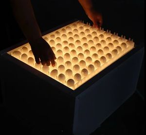 Hot Sale Chicken Egg Fertility Tester Fruchtbarer Eier detektor für die Hühner zucht und das Schlüpfen - Product Image 5