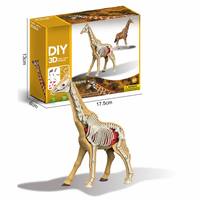Kit de modèle d'anatomie d'éléphant 3D à faire soi-même, 38 pièces, squelette détachable, organes, jouet éducatif scientifique STEM pour enfants