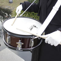 14 Marching Snare Drum with Drumsticks Professional Percussion Instrument for Beginner & Student OEM ODM Customizable