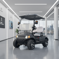 Voiture de golf électrique 2 places au prix d'usine le plus bas, batterie au lithium 60V, scooter électrique