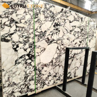 Calacatta Viola Marbre Poli Dalle Pourpre Veine pour Cuisine Comptoir Carrelage Panneau Mural Escalier