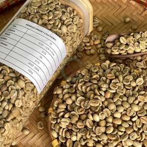 Vietnam Arabica Grains de café vert S18 100% Pureté Processus à sec 24 mois Durée de conservation 1000kg Sacs en vrac de haute qualité - Product Image 4