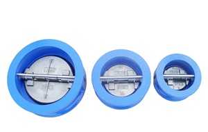 Válvula de Retención Hidráulica de Doble Disco de Contracorriente de Hierro Dúctil Tipo Flange DN50-600 - Product Image 3