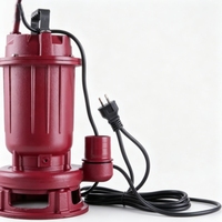 Pompe submersible pour eaux usées WQ, pompe à eaux usées en fonte, pompe submersible pour drainage des eaux fécales de fosse de sous-sol