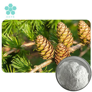 Extracto de corteza de alerce 98% en polvo, arabinogalactano listo para enviar - Product Image 3