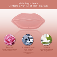 Masque de nuit repulpant pour les lèvres en hydrogel biologique végétalien rose hydratant à l'aloe vera et au collagène cristallin