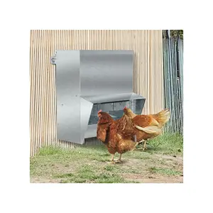 Modern Chicken Farming Automatic Feeding Equipment Pet Automatic Feeder Is Suitable For Feeding Poultry And Pigeons
