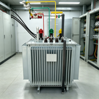Transformateur de distribution de puissance triphasé immergé dans l'huile Taishun S11 63KVA 50/60Hz 6.3kV 10kV