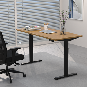 Bàn điều hành hiện đại cho văn phòng tại nhà & trường học đứng điện vật liệu sắt Máy tính chơi Game được thiết kế tiện lợi - Product Image 4