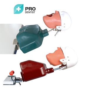 Maniquí Dental con torso, simulador de entrenamiento dental con cabeza de <span class=keywords><strong>phamtom</strong></span> - Product Image 6