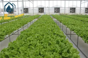 Système hydroponique Nft Vertical, Kits avec 36/54/72/108 trous, plantes à tubes en PVC pour légumes, 40 m