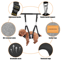 Ensemble laisse et harnais réversible personnalisé avec logo, brosses de toilettage multifonctionnelles, outil de soin écologique et tendance pour chiens et chats