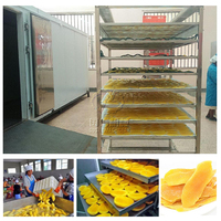 Industriële Mango Ui Gember Wassen Snijden Drogen En Verpakkingsmachine Gedroogde Fruit Groente Productielijn
