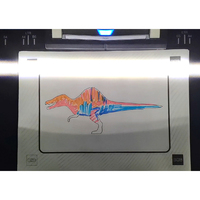 Écran de projection 3D du monde des dinosaures jurassiques AR holographique amusant mur intérieur enfants peinture jeu interactif
