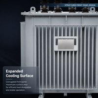 Projet EPC Transformateur Amorphe Clé en Main Triphasé à Noyau Enroulé 3D Immergé dans l'Huile Norme IEC60076 Personnalisé KVA Tension