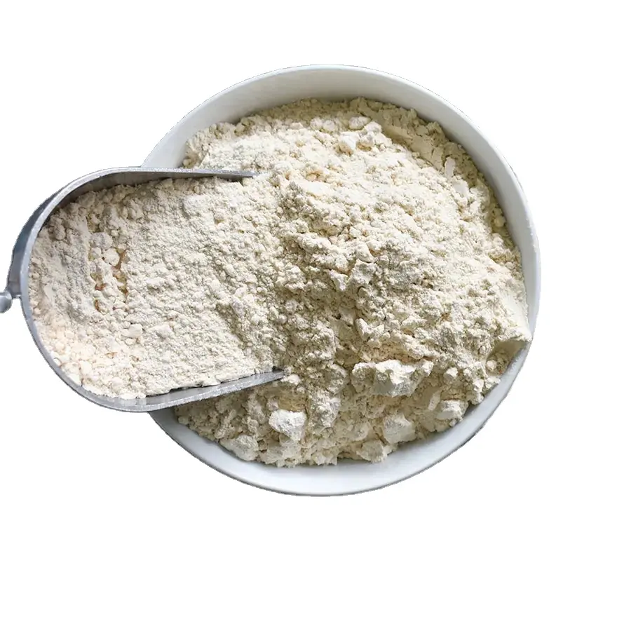 Wholesale High Quality Wheat Flour / 100% Durum Wheat semolina flour For Sale