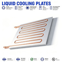 Plaque de refroidissement liquide en aluminium pour système de gestion thermique de batterie de véhicule à énergie nouvelle, conception de plaque froide personnalisée OEM