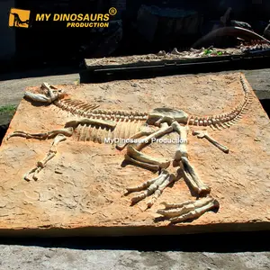 MY DINO Kids-لوحة حفريات بهيكل ديناصور T-Rex